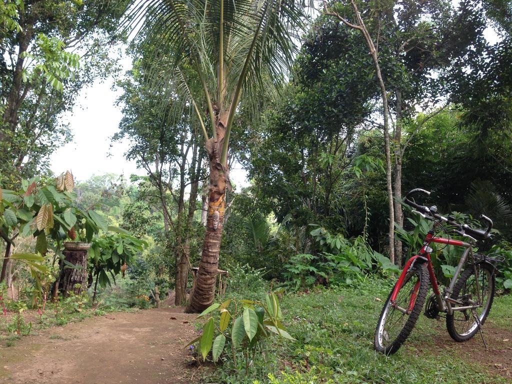 Dream Catcher Camp Hotel Tetebatu Exterior photo