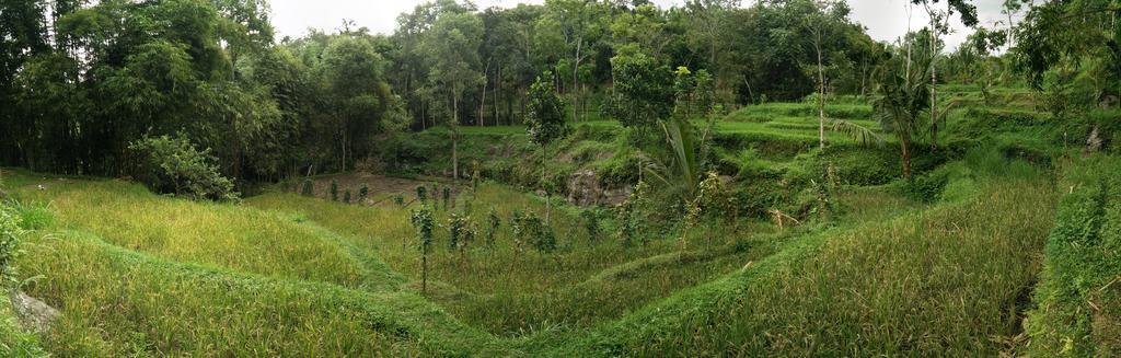 Dream Catcher Camp Hotel Tetebatu Exterior photo